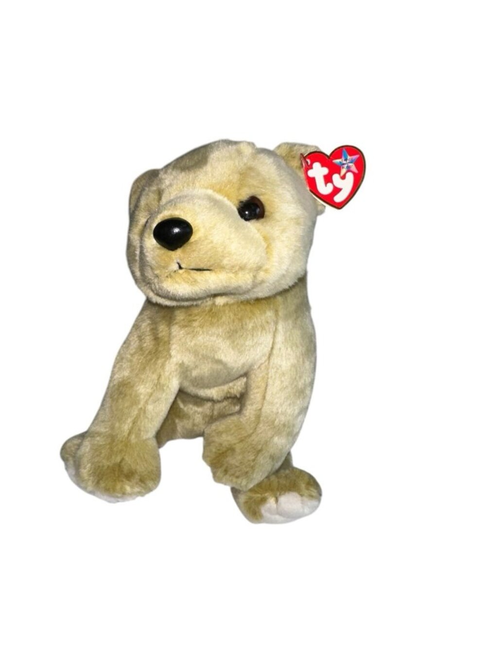 Ty Beanie Buddy Buddies Almond the Bear 10" MWMT Tylong Lovey Security Plush